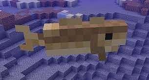 dolphins eat in minecraft
