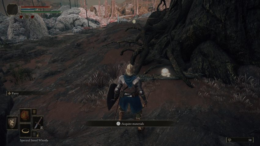 Where to Find Toxic Mushroom in Elden Ring