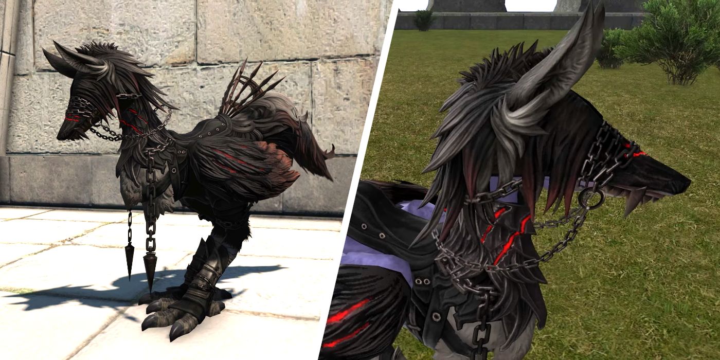 How to Get the Wolf Barding in Final Fantasy XIV. 
