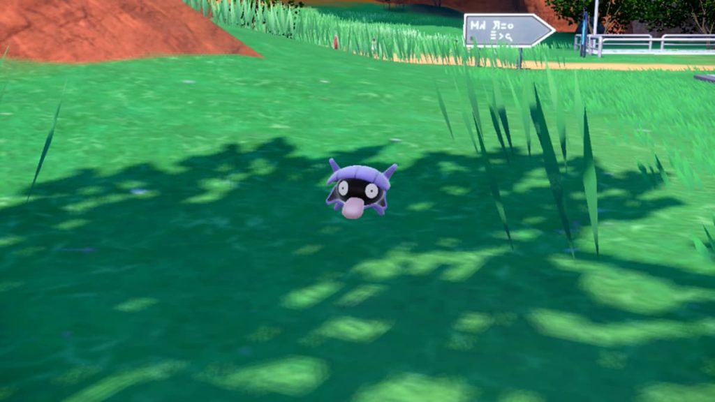 Where to find Shellder in Pokémon Scarlet and Violet