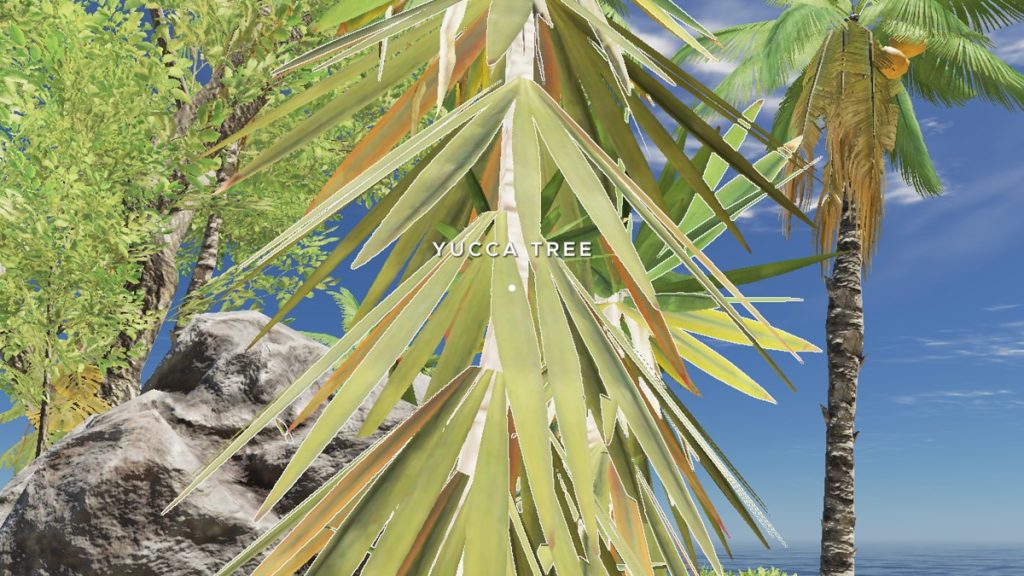 Grow Yucca Trees in Stranded Deep