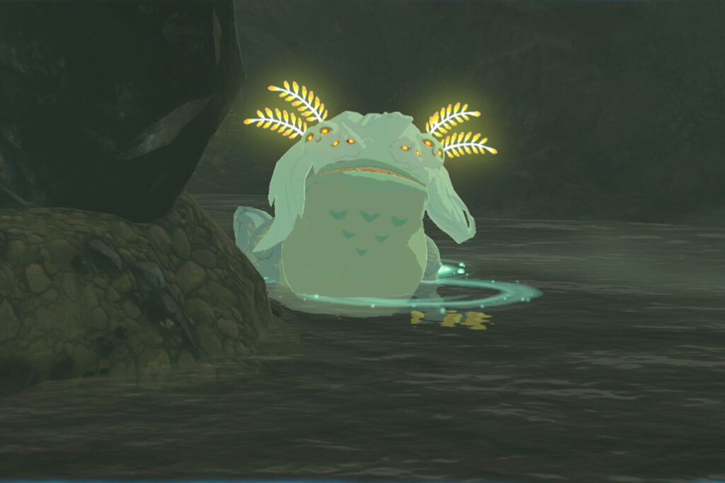 How To Find Bullfrogs In Zelda Tears Of The Kingdom